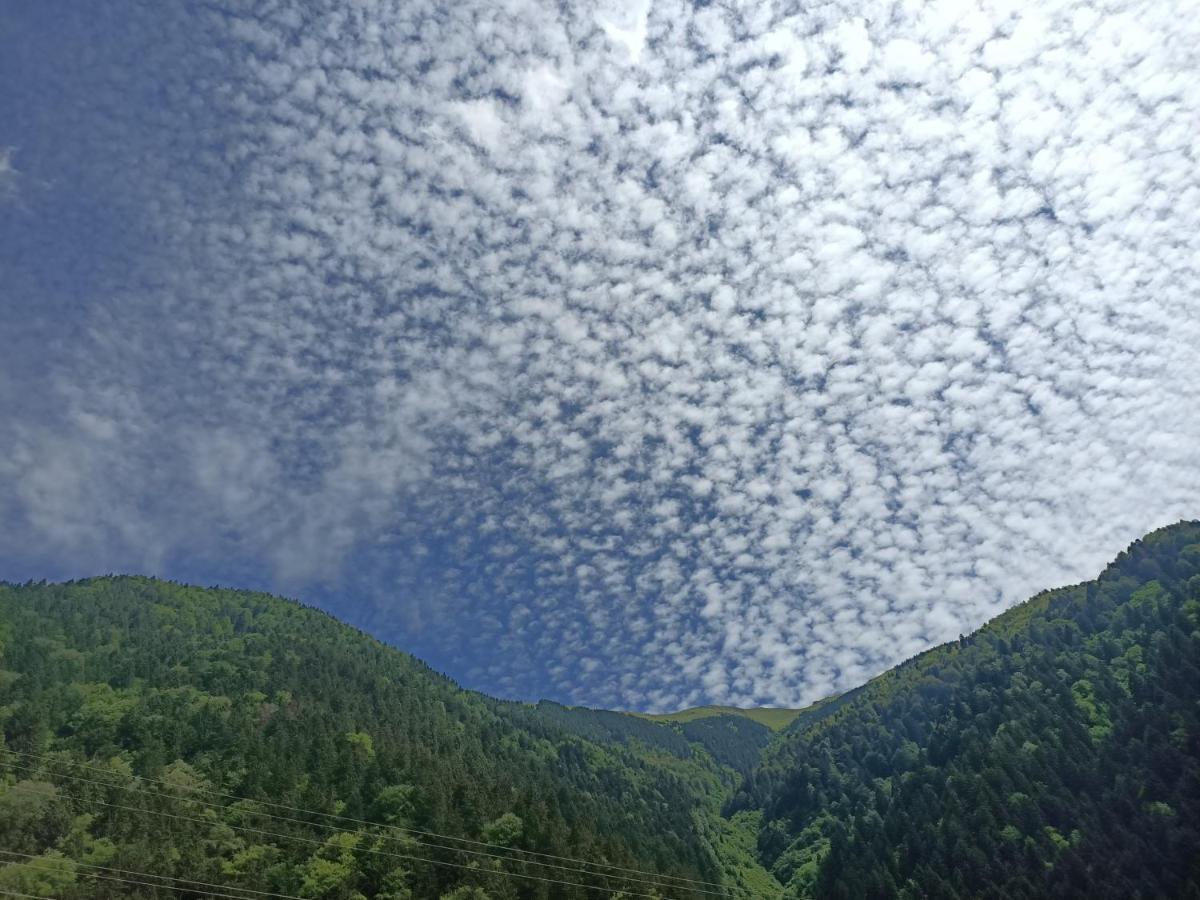 Akpinar Hotel Uzungöl Exteriör bild